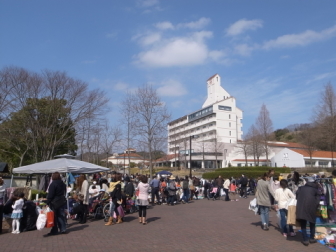 ���T�C�N���t�F�A