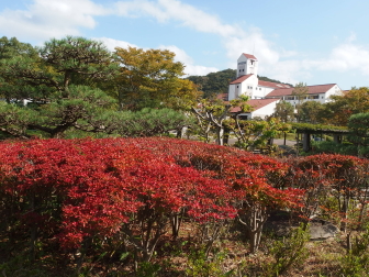 �h�E�_���c�c�W