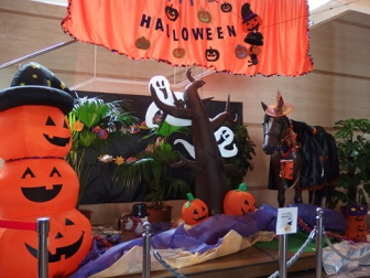 �n���E�B��