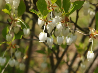 �h�E�_���c�c�W