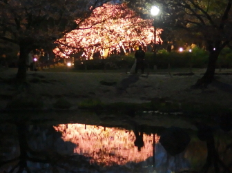 �V�_���U�N���ƒr