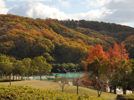 �e�j�X�R�[�g