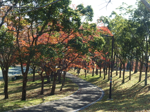 �^���L��̗Γ�