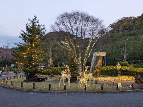 ライトアップされた花づつかがみ