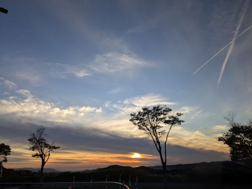 夕焼け