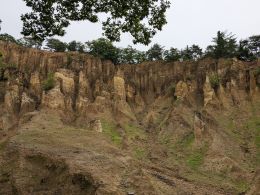 ���g�̓y��