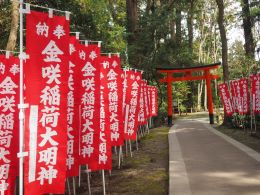 金咲稲荷大明神