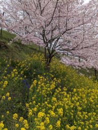 �ÎR��T�N��