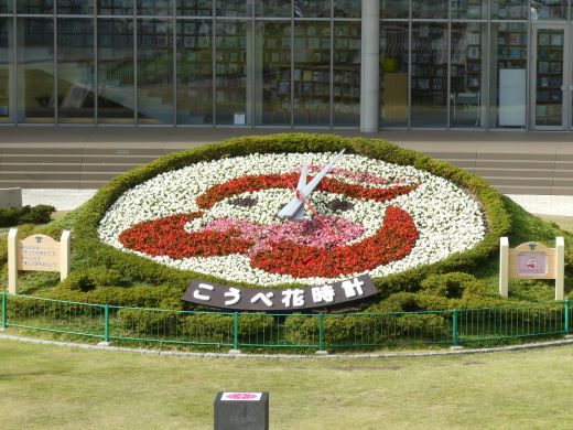 ギュッとちゃん